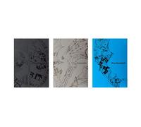 THE SIN : VANISH Édition Limitée Exclusivité Fnac Coffret CD
