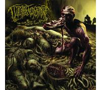 The Slow Decay of Infested Flesh