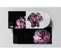 The Slow Show Still Life (Vinyl) 12" Album Coloured Vinyl