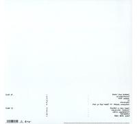 THE SNUTS - BURN THE EMPIRE VINYL LP NEUF
