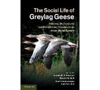The Social Life Of Greylag Geese