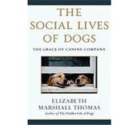 The Social Lives of Dogs Elizabeth Marshall Thomas (Auteur)