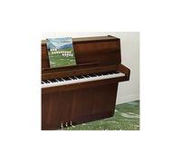 The Sophtware Slump… On A Wooden Piano Vinyle