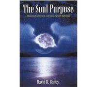 The Soul Purpose David Railey (Auteur)