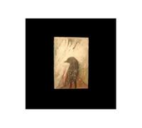 The Souls of Birds and Mice