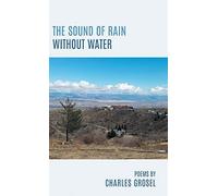 The Sound Of Rain Without Water