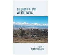 The Sound Of Rain Without Water