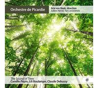 Yan Levionnois - The Sound of Trees