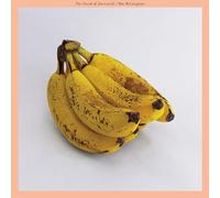 The Sound of Yourself