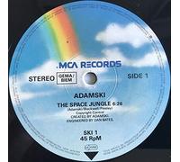 The Space Jungle / The 2nd Coming [Vinyl Single]