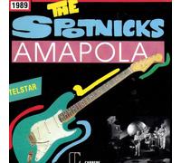 The Spotnicks - Amapola