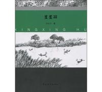 The star lake (Chinese Edition)