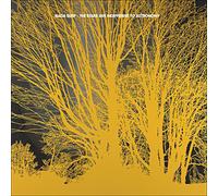 The stars are indifferent to astronomy Vinyle