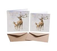 The Stars dans le Clair Ciel - Carte de Noël Boite Ensemble - 8 de Luxe Feuille D'or Cartes et Enveloppes - Wrendale Designs