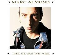 Almond – The Stars We are