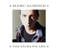 Almond – The Stars We are