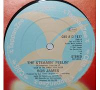 The Steamin' Feelin' / Enchanted Forest