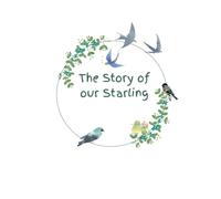 The Story of Our Starling: A Baby Memory Journal
