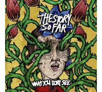 THE STORY SO FAR - WHAT YOU DON'T SEE CD NEUF