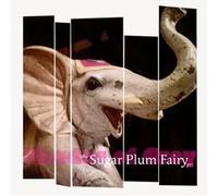 The Sugar Plum Fairy - Shades of Grey