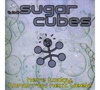 The Sugarcubes - Here Today,Tomorrow, Next Week! - Black Vinyl [Vinyl Lp] Reissue, Uk - Import
