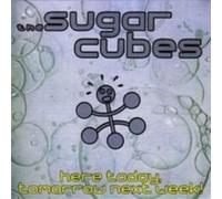 The Sugarcubes – Here Today, Tomorrow, Next Week – Vinyle LP rose – Réédition (UK, Import)