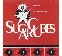Stick around for joy CD