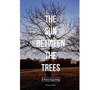 The Sun Between The Trees