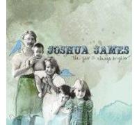 The Sun Is Always Brighter