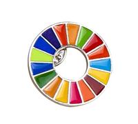 The Sustainable Development Goals Brooch United Nations SDGs Rainbow Pin Badge Nice processing