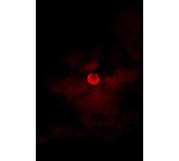 The Sylloge of Legend