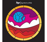 The Syn - Syndestructible (VINYL)