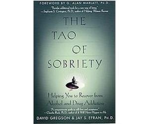 The Tao of Sobriety David Gregson, Jay S. Efran (Auteur)