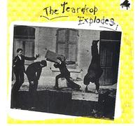 The Teardrop Explodes - Bouncing Babies / All I Am is Loving You