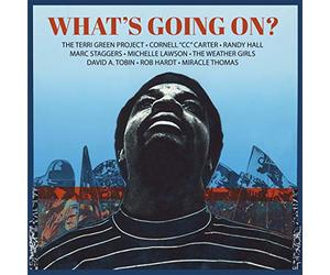 The Terri Green Project - What's Going on