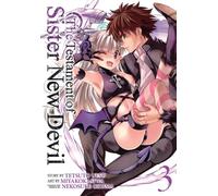 The Testament Of Sister New Devil, Volume 3