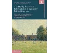 The Theory, Practice, And Interpretation Of Customary International Law