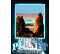 The Third Planet: Wolfpacks (Seals) Of The Namib [Dvd]