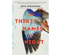 The Thirty Names of Night: A Novel