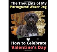 The Thoughts Of My Portuguese Water Dog: How To Celebrate Valentine's Day