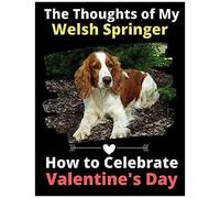 The Thoughts Of My Welsh Springer: How To Celebrate Valentine's Day