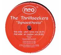 THE THRILLSEEKERS / SYNAESTHESIA