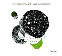 The Transcendent Function