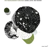 The Transcendent Function