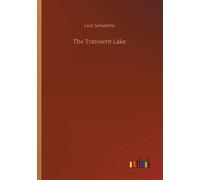 The Transient Lake