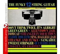 The Transients featuring Billy Strange - Funky 12 String Guitar