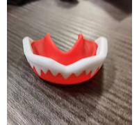 The Traveller's Directory: Or A Pocket Companion