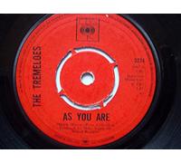 The Tremeloes - Suddenly You Love Me / As You Are