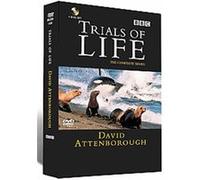 The Trials Of Life