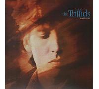 The Triffids (80s) - Calenture